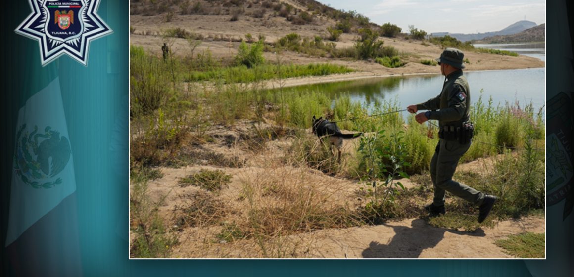 xvc Binomios caninos fortalecen habilidades tácticas y de búsqueda en adiestramiento especializado