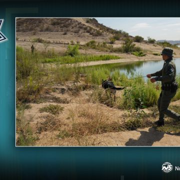 xvc Binomios caninos fortalecen habilidades tácticas y de búsqueda en adiestramiento especializado