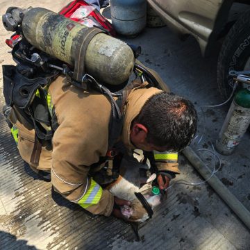 Bomberos de Tijuana rescatan a dos caninos tras incendio de vivienda en la Sánchez Taboada