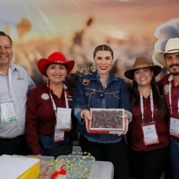 BC concentra 50% de ingresos por venta de dátil en México