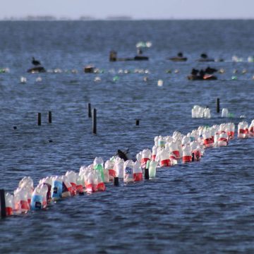 Anuncian inicio de estudios para manejo sostenible de residuos en San Quintín y San Felipe