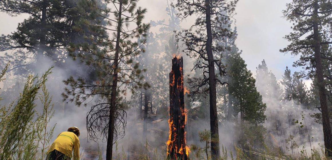 1 Informa protección civil sobre avances en incendio de San Pedro Mártir