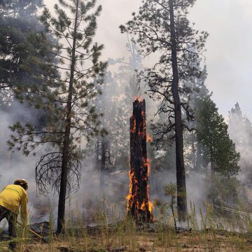 Informa protección civil sobre avances en incendio de San Pedro Mártir