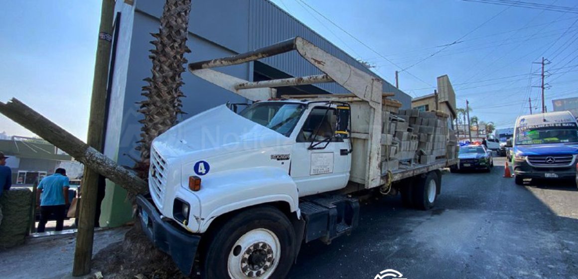 Camión sin frenos se impacta contra palmera en la calzada Defensores