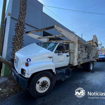 1 Camión sin frenos se impacta contra palmera en la calzada Defensores