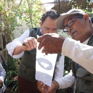 Refuerzan en BC acciones de prevención contra el Dengue en Día Internacional