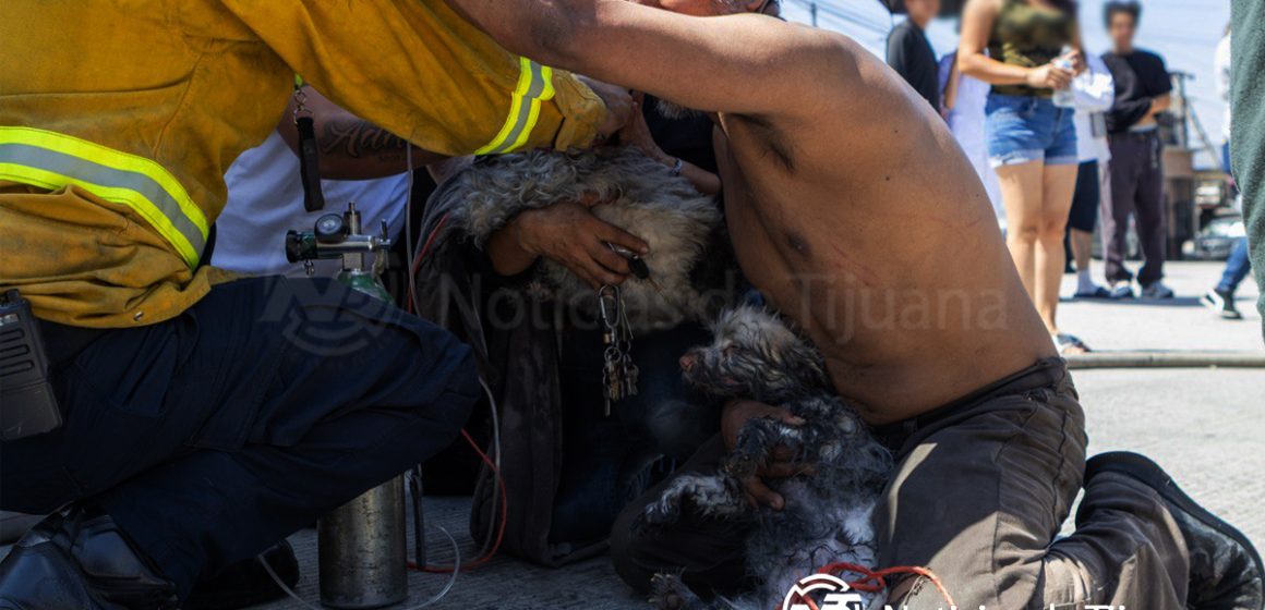 1 Hombre arriesga la vida para salvar a sus mascotas durante incendio en Villas del Real