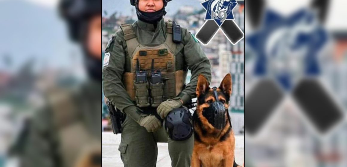 1 La SSPCM despide a la agente María Teresa, fallecida en accidente de tránsito