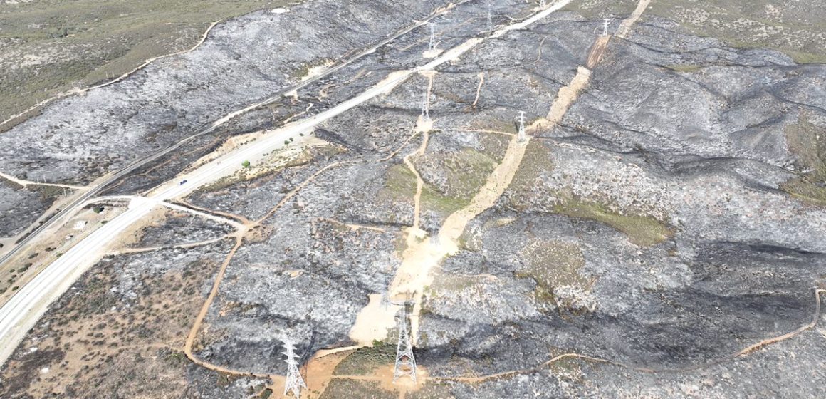 Liquidan incendio forestal de la carretera libre Tecate-Mexicali