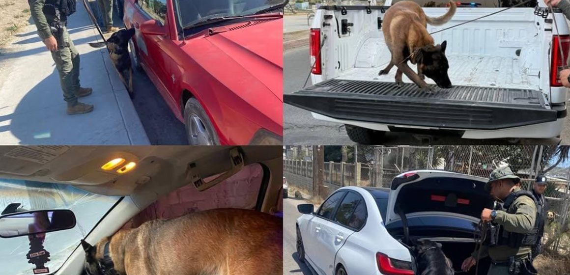 Fortalece SSPCM patrullajes preventivos para inhibir delitos