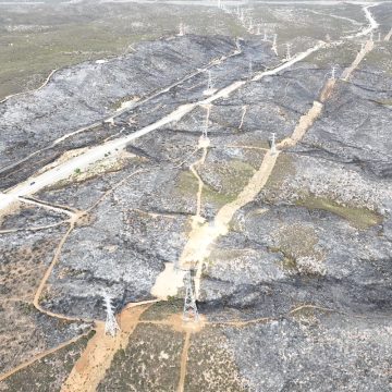 Liquidan incendio forestal de la carretera libre Tecate-Mexicali