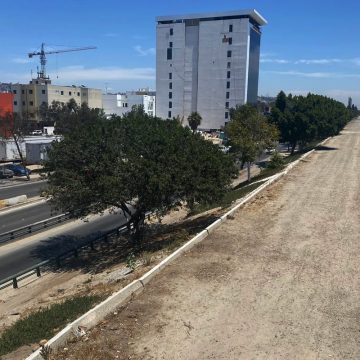 Cruce fronterizo por canalización es viable, pero requiere de apoyo de EU en garitas: especialistas