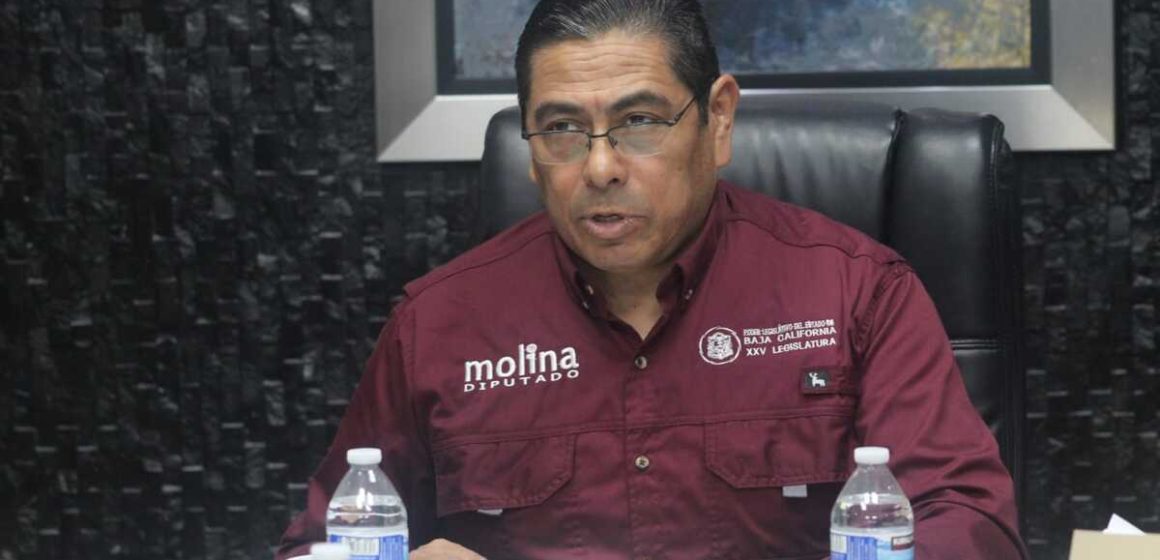 Congreso de BC aprueba sanciones de hasta 8 años de prisión por ataques de animales