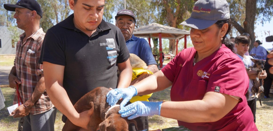 Baja California lleva a cabo más de 176 mil acciones en comunidad para el control de la rickettsia