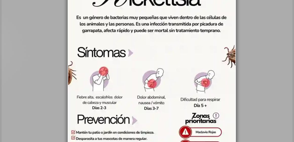 Emiten recomendaciones contra la picadura de garrapatas