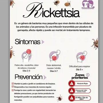 Emiten recomendaciones contra la picadura de garrapatas