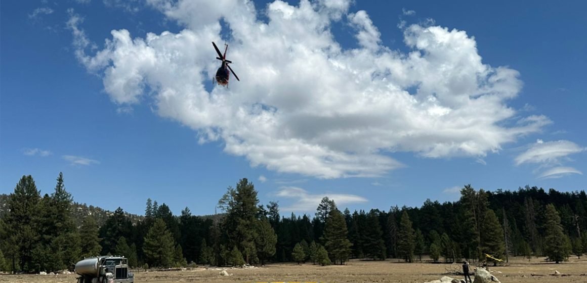 Informan sobre incendio forestal “complejo san pedro mártir”