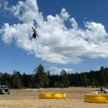 xc Informan sobre incendio forestal “complejo san pedro mártir”