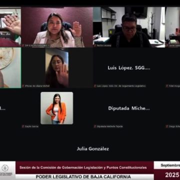 Congreso aprueba Reforma para inclusión de personas con discapacidad en elecciones