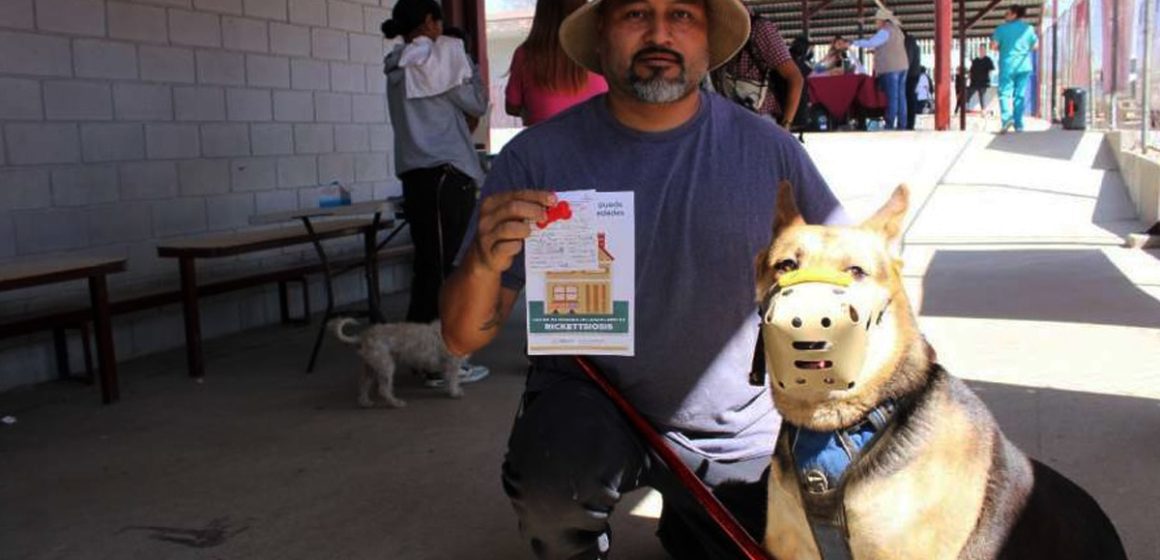 Refuerzan campañas gratuitas contra rickettsiosis en Tijuana
