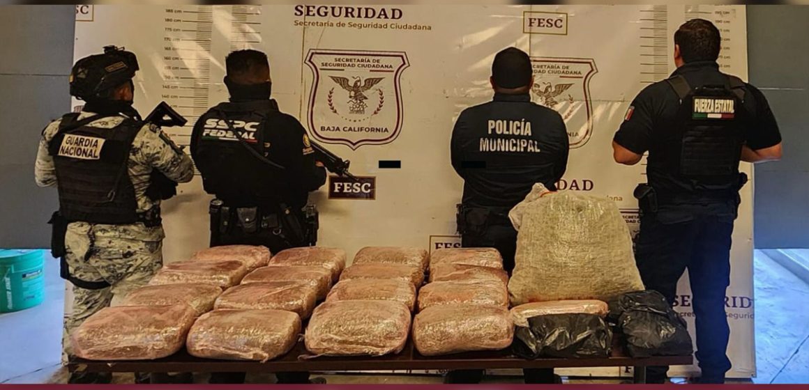 Aseguran 20 kilogramos de marihuana en Tijuana tras reporte ciudadano