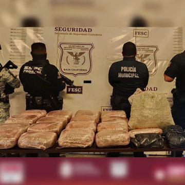 Aseguran 20 kilogramos de marihuana en Tijuana tras reporte ciudadano