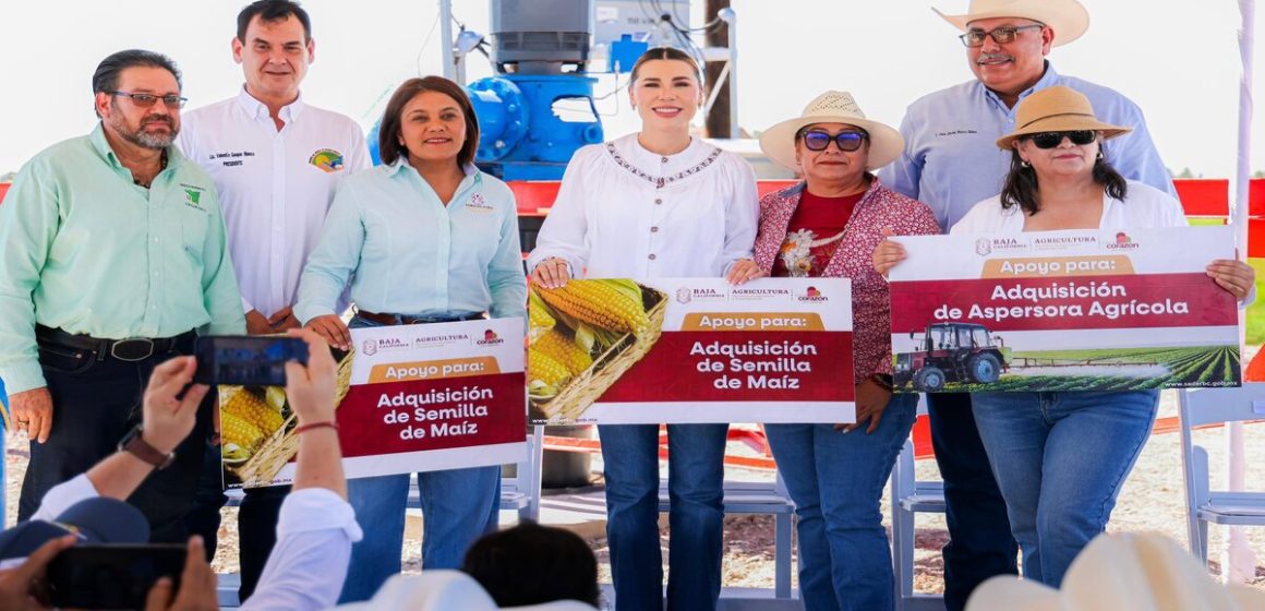 Marina del Pilar impulsa productividad agrícola en el Valle de Mexicali