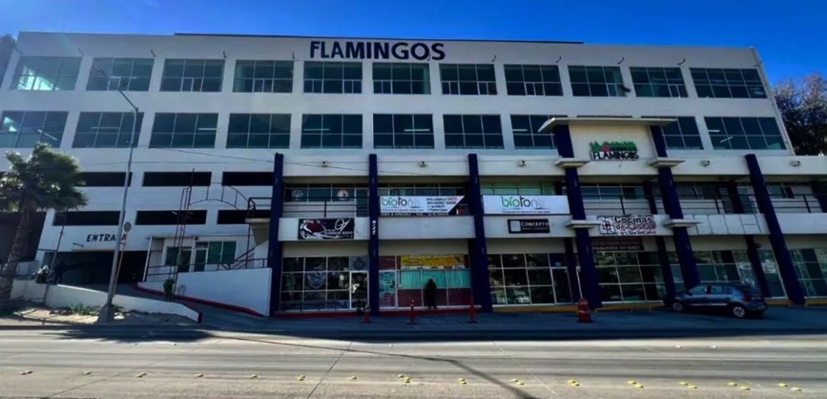 6 Registra albergue Flamingos aumento de flujo migratorio durante septiembre