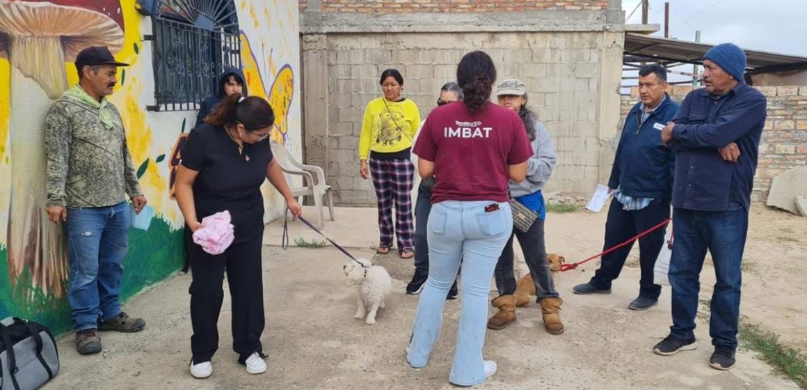 Gobierno de Tecate acerca campaña de esterilización a “El Hongo”