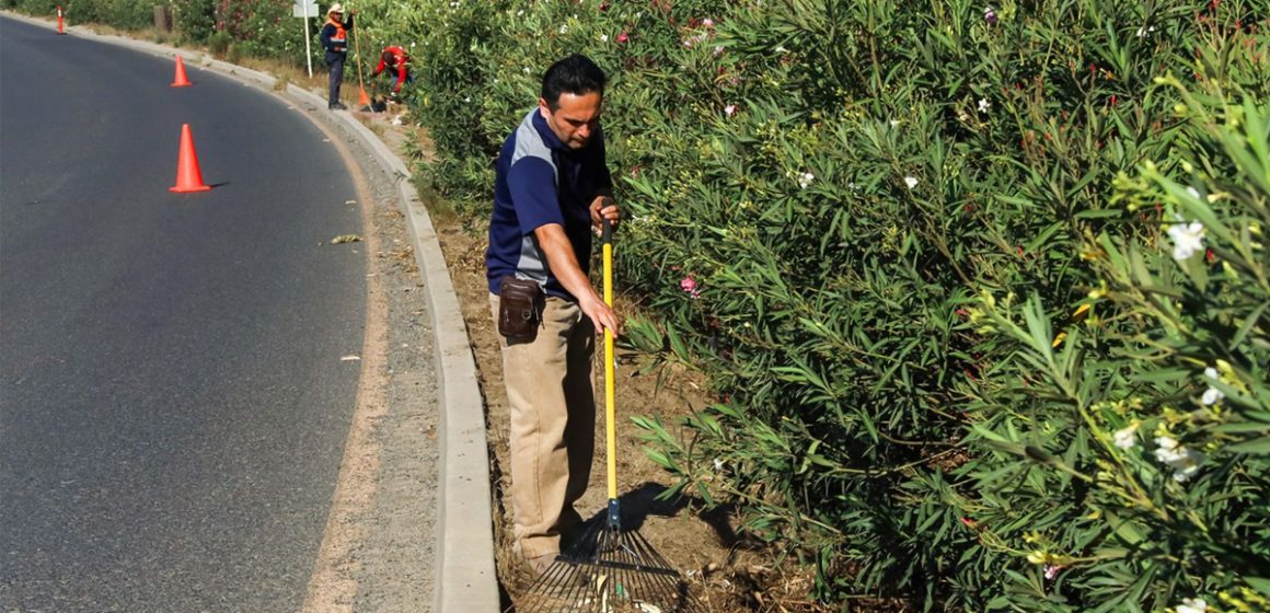 fdw Rescatan camellón frente al INIDE y le dan nueva vida urbana en Tecate