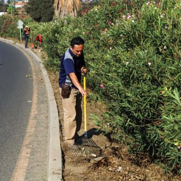 Rescatan camellón frente al INIDE y le dan nueva vida urbana en Tecate