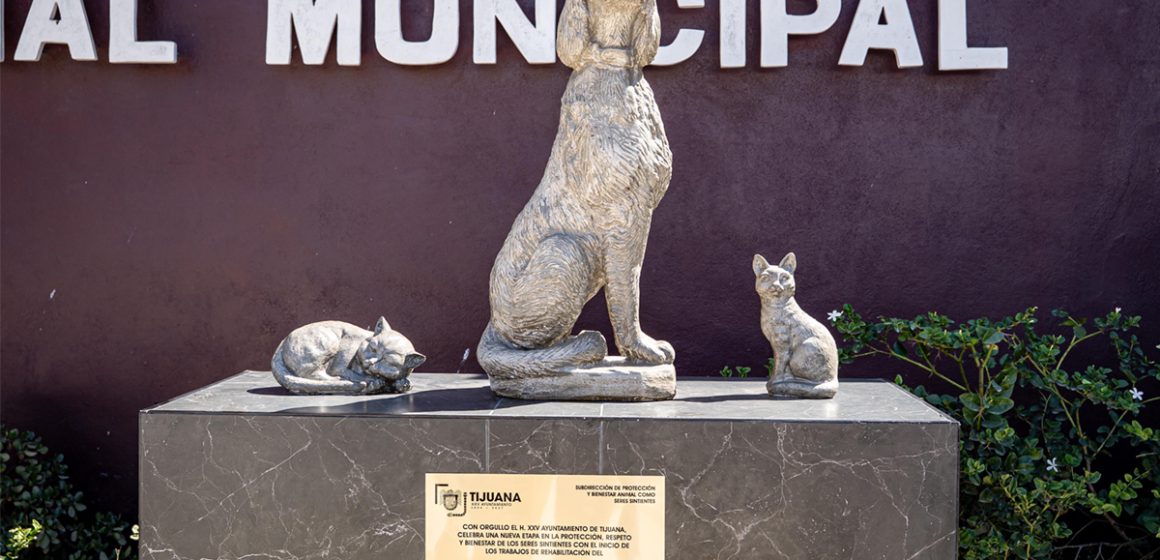 Inician trabajos de rehabilitación en el Centro de Control Animal de Tijuana