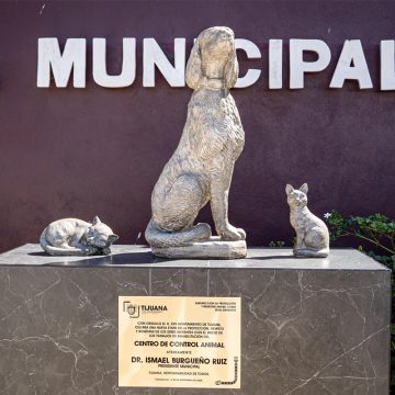 Inician trabajos de rehabilitación en el Centro de Control Animal de Tijuana
