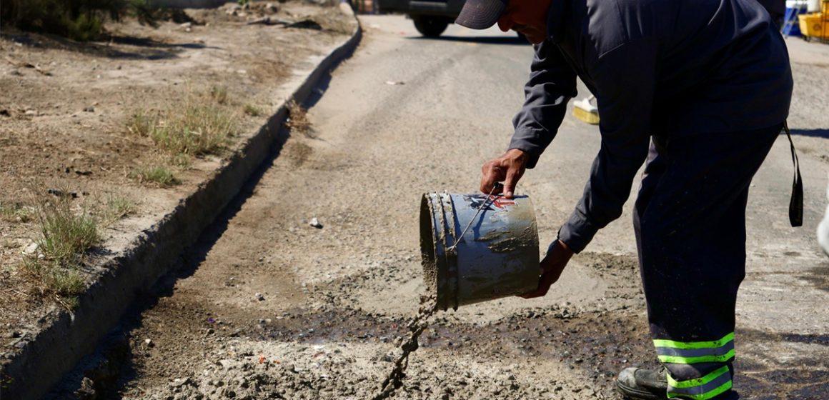 zx Refuerza Gobierno Municipal acciones de dignificación de entornos a través de ‘Tijuana: Ciudad Limpia’