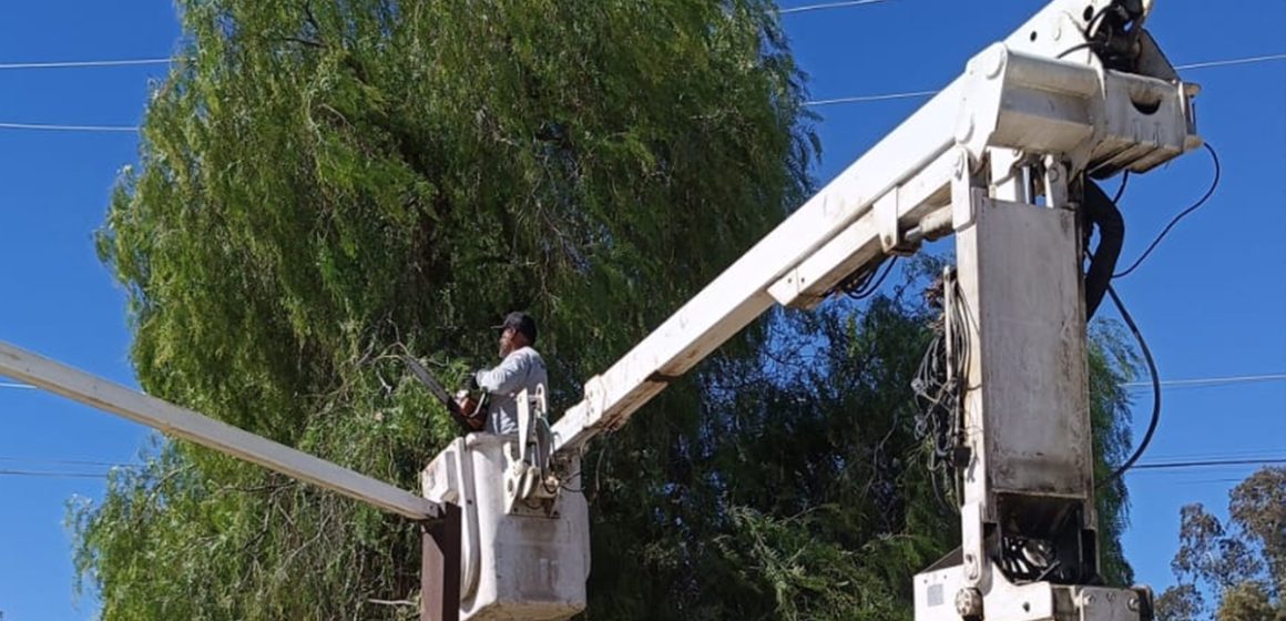 1 Refuerzan alumbrado en La Rumorosa para mejorar seguridad de vecinos
