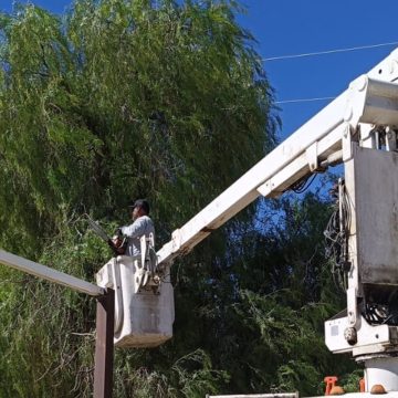 Refuerzan alumbrado en La Rumorosa para mejorar seguridad de vecinos