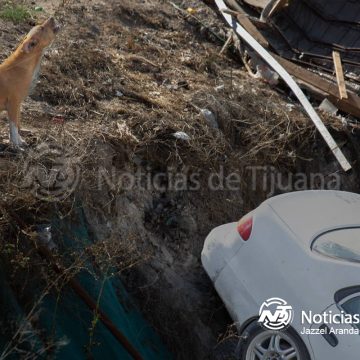 3 Delincuentes asesinan a un hombre a bordo de su vehículo en la colonia 3 de Octubre