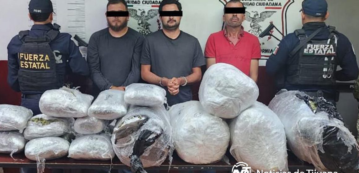 7u7u7u Aseguran más de 56 Kilos de Marihuana y Detienen a Tres en Tecate