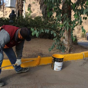 czxs Mejoran entornos urbanos con el programa “Tijuana: Ciudad Limpia”