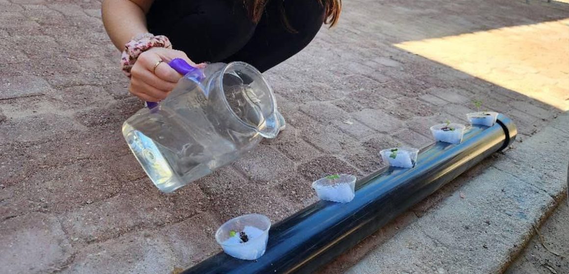 Impulsan creación de huertos verticales en zonas urbanas y semiurbanas de Mexicali