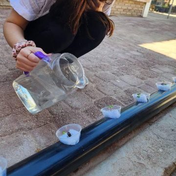 Impulsan creación de huertos verticales en zonas urbanas y semiurbanas de Mexicali