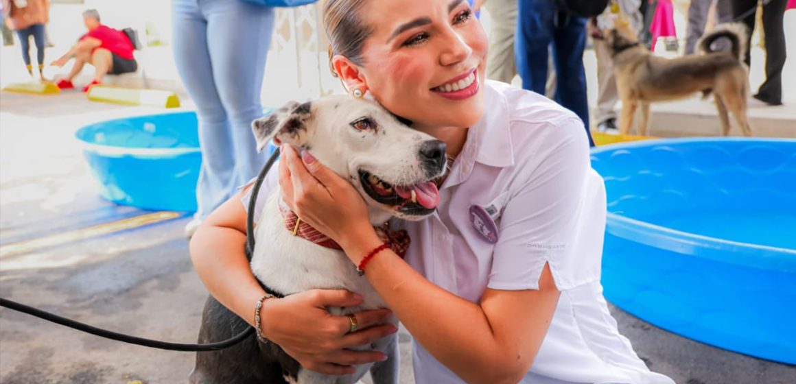Gobernadora invita a dar hogar a animales resguardados en el santuario Mily