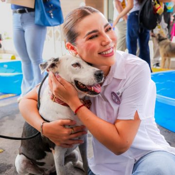 Gobernadora invita a dar hogar a animales resguardados en el santuario Mily