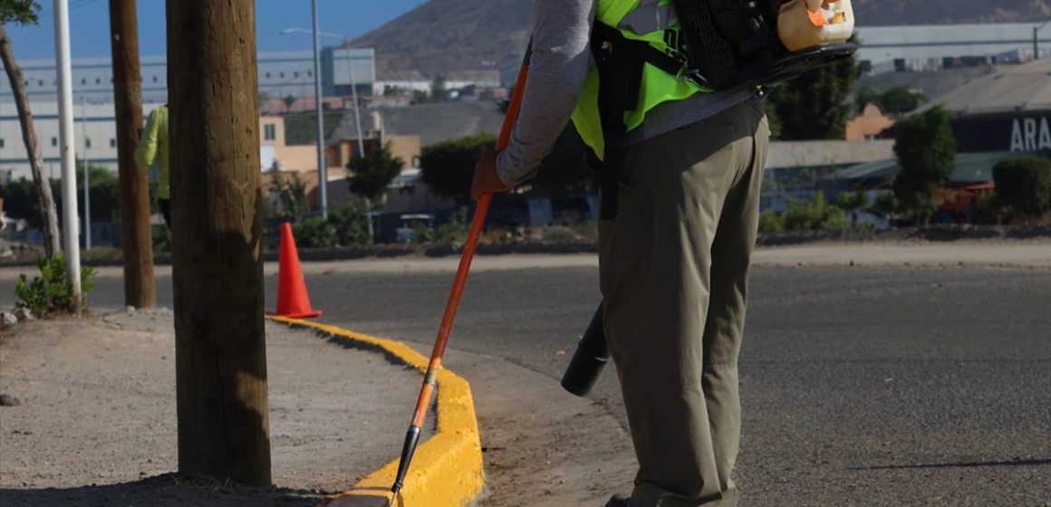gfd Vecinos se suman a jornadas de limpieza y mejoramiento urbano en Tijuana