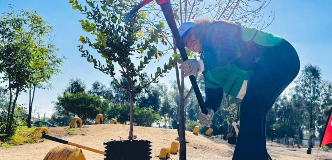 Tijuana avanza hacia una ciudad más verde con reforestación en el Parque de la Amistad