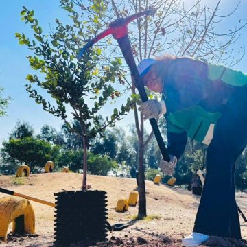 gfd Tijuana avanza hacia una ciudad más verde con reforestación en el Parque de la Amistad
