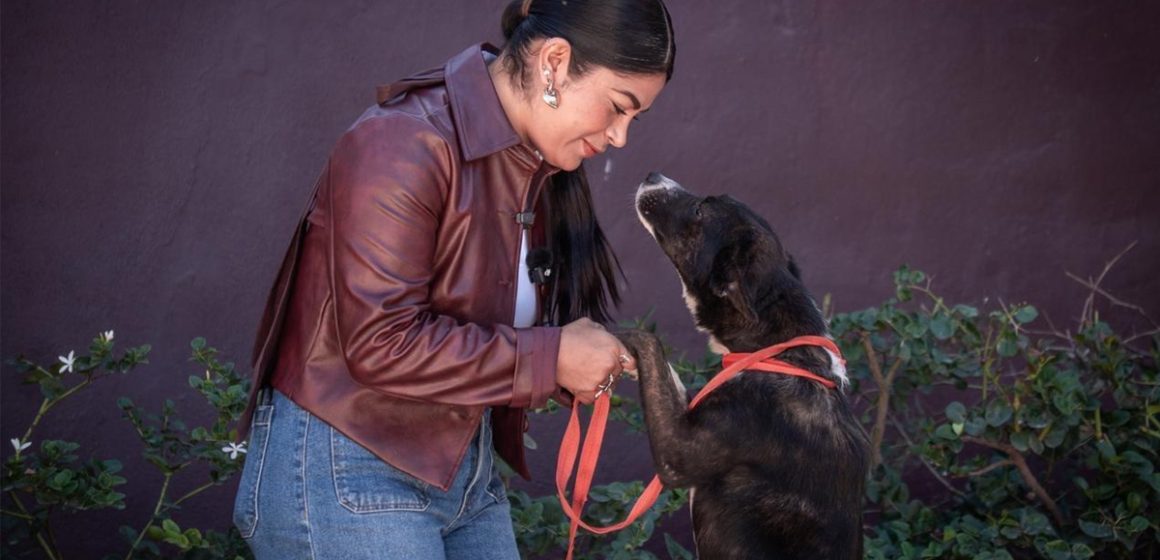 vcxsd Promueve Gobierno Municipal de Tijuana el rescate y la adopción de mascotas