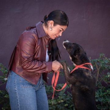 vcxsd Promueve Gobierno Municipal de Tijuana el rescate y la adopción de mascotas