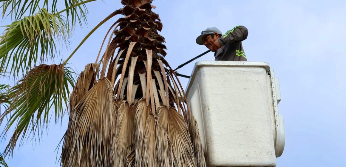 Refuerza Gobierno Municipal infraestructura urbana en colonias de Tijuana