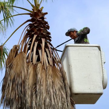 xcv Refuerza Gobierno Municipal infraestructura urbana en colonias de Tijuana